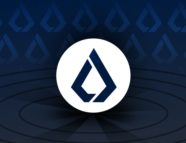 Голосование в Lisk: сжечь или распределить 100 миллионов токенов?