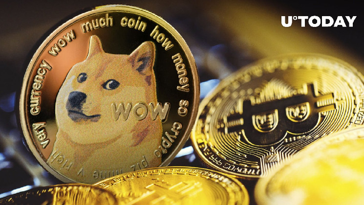 Горячий дебат: Dogecoin vs Bitcoin - неожиданный поворот