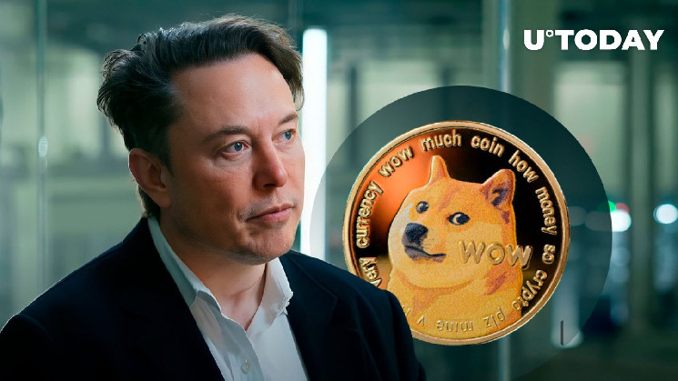 День народження Елона Маска та День Dogecoin: святкування та зростання ціни DOGE