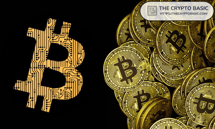 Продажи долгосрочных держателей биткоина в 2024: анализ и прогноз