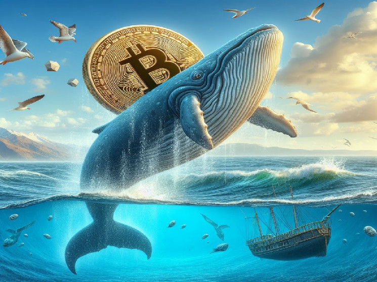 Bitcoin Whale здійснив великий переказ BTC на Coinbase
