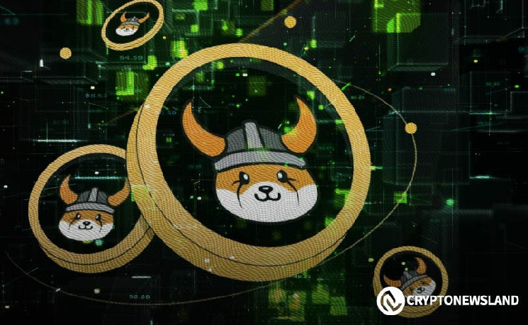 Флоки и TokenFi: стратегический рост до 2024