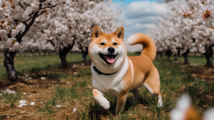 Мем-монеты в крипто-трендах: SOLETF, MOTHER, BABYTRUMP