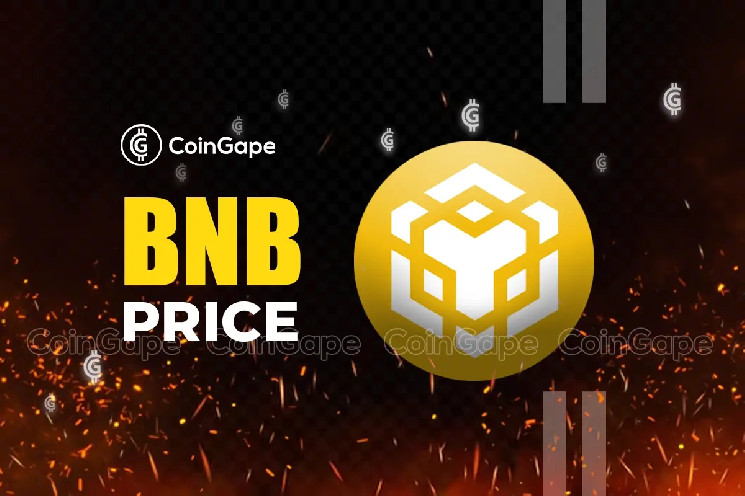 Прогноз цены Binance Coin: BNB и волатильность: анализ за 24 часа