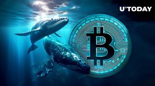 Киты покупают биткоин на падении: анализ текущей ситуации