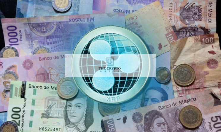 Риппл как Новый Федеральный Резерв: Аналитика Линды Джонс