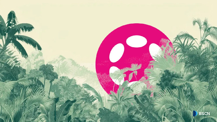 Четыре ключевые новости о финансах Polkadot 2024