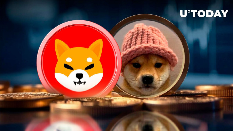 Рост WIF на 27%: лучший актив в топ-100, SHIB и другие мем-крипты также растут