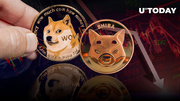 Криптовалюти Dogecoin і Shiba Inu опускаються на ринку
