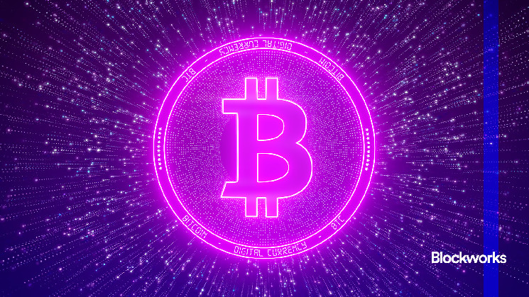 Экстремальная волатильность криптовалют: готовы ли рынки?