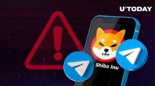 Сообщество Shiba Inu: Как не стать жертвой мошенников на Telegram