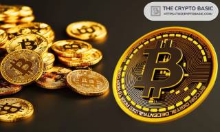 Биткоин теряет 566 тыс. кошельков: намек на днорынка