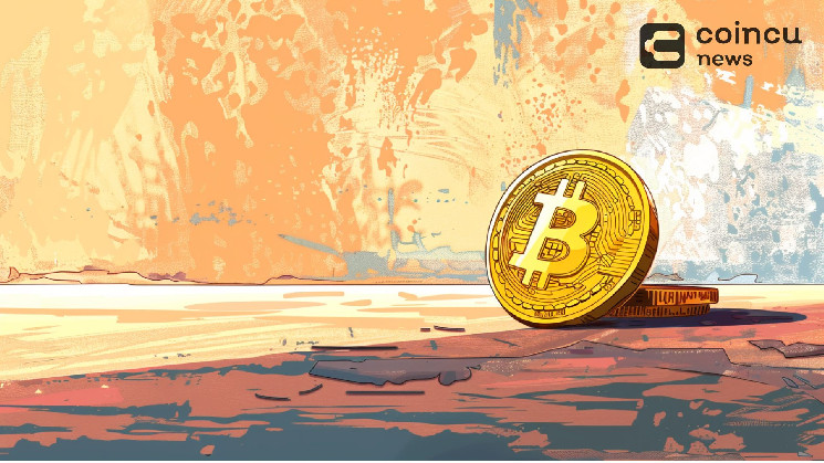 Продажи биткоинов немецким правительством - негативное влияние на рынок