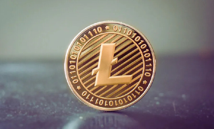 Стабільність ціни Litecoin і його активність: огляд 2024