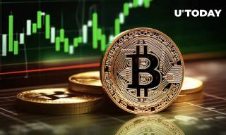 Основная причина снижения волатильности биткойна