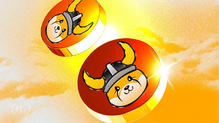 Ціна Floki залежить від Bitcoin і від важливої групи інвесторів: огляд відносин.