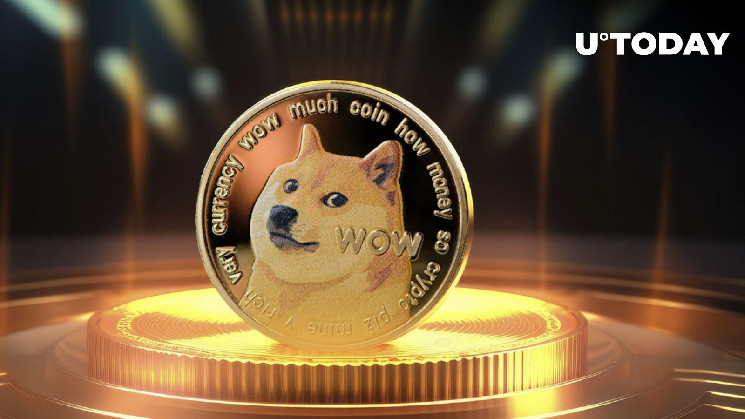 Обновление Ordinals для Dogecoin: новости и перспективы