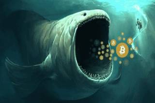Киты купили Bitcoin (BTC) на падении: влияние на рынок