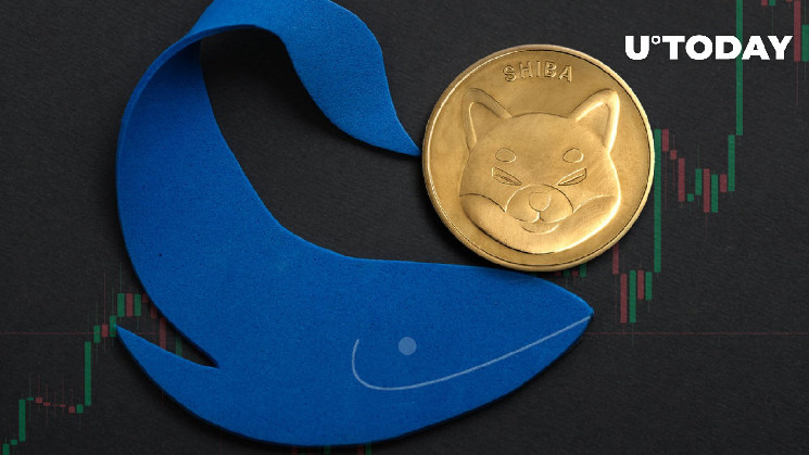 Новий рух китів підштовхує Shiba Inu до росту