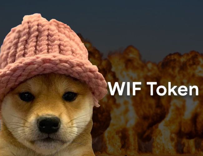 Криптовалюта Dogwifhat на Solana лучшая крипта 2023 - Forbes