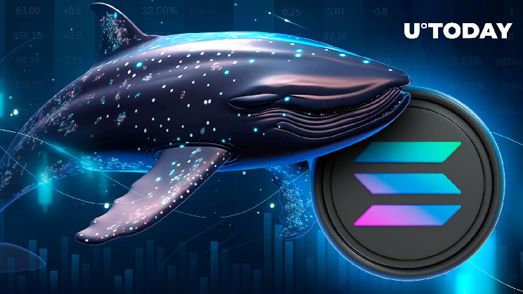 Кити Solana перемістили 82 млн доларів вартості SOL на невідомі гаманці