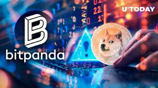 Недоліки злободення на Bitpanda: попередження від розробника Dogecoin