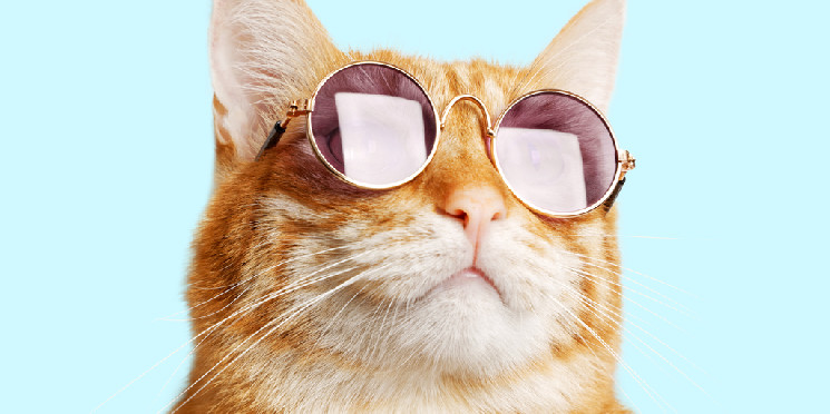 Кішки котяться: Meme Coin Meta на піку