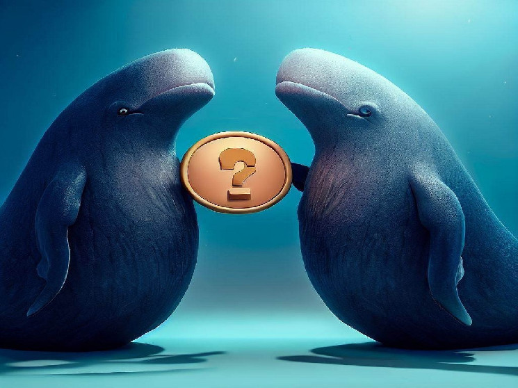 Инцидент с Китами: продажи в AVAX, MKR и UMA