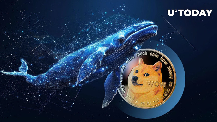 Крипто-киты скупают Dogecoin: что это значит для рынка?