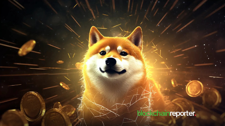 Кити Dogecoin: 60 мільйонів DOGE за 24 години