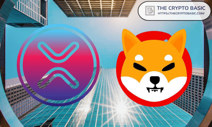 XRP и Shiba Inu выделяются в топ-прибыльных активах Grayscale