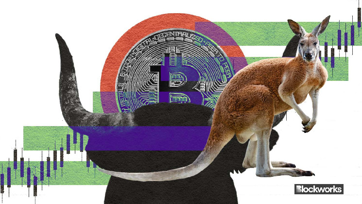 Биткойн на фоне непредсказуемого кенгуру-рынка: прогнозы и потенциальные вызовы