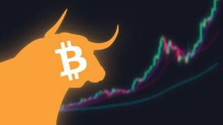 Мега-бычий рынок: Биткоин и предвыборные шансы Трампа.