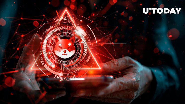 Фальшиві Telegram-канали: попередження для спільноти SHIB