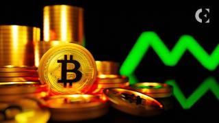Сага Tesla-Bitcoin: маніпулювання ринком чи занепокоєння щодо навколишнього середовища?
