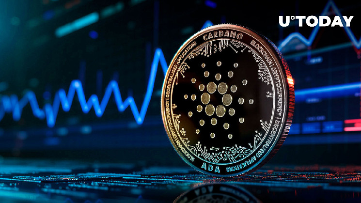 Cardano (ADA) в центре внимания: растущая популярность и обновления