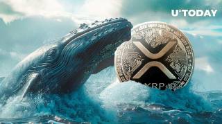 140 Мільйонів XRP Куплено Китами: Деталі та Перспективи