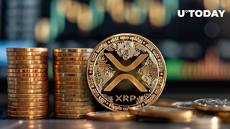 26 миллионов XRP перемещены: кит планирует удержать
