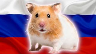Осведомленность о криптовалюте и игре Hamster Kombat среди россиян