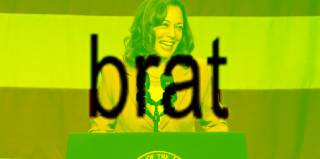 Мем-коїн Brat Summer зростає після підтримки Камали Гарріс