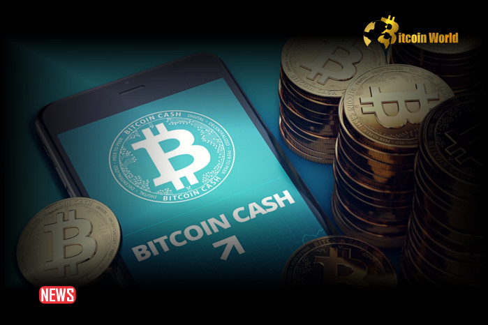 Bitcoin Cash: цена падает из-за активности Mt. Gox на Kraken