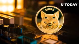Нове оновлення для гри Shiba Eternity: Shibatopia arena