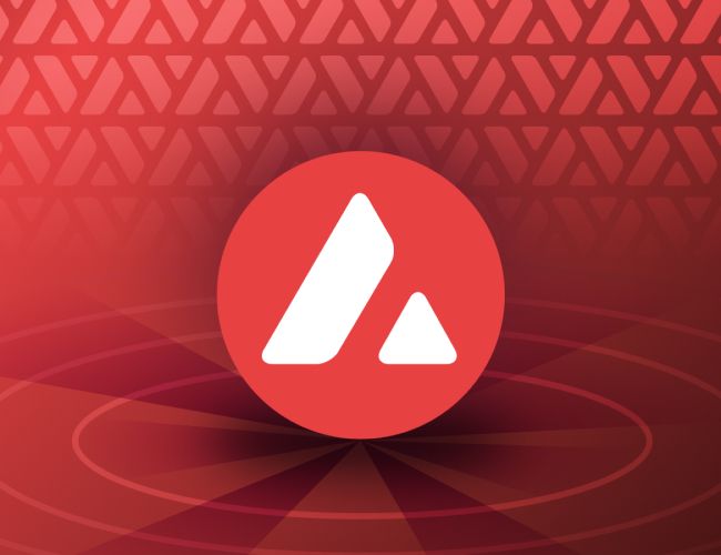 Avalanche: новая система оплаты по факту использования