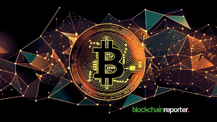 Инвестор приобрел 225,5 BTC за $14,91 млн