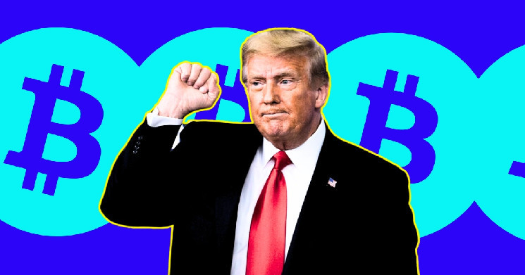 Альткоины для накопления перед выступлением Трампа
