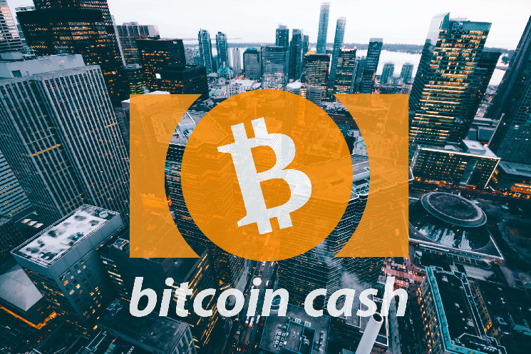 Bitcoin Cash: прогноз ціни до $400 в умовах Bitcoin 2024 конференції