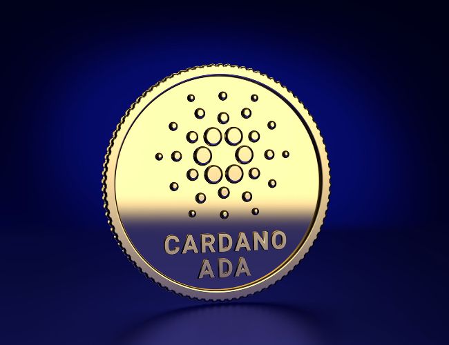Зростання активності китів Cardano перед хардфорком