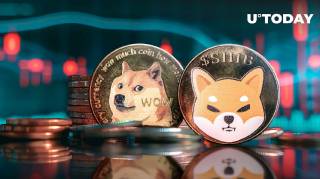 DOGE та SHIB: провідні прогульники на червоному ринку