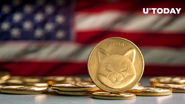 Владения Shiba Inu: Правительство США удерживает 54,897 млрд токенов