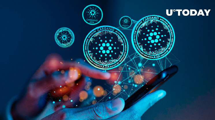 Фонд Cardano: співпраця, інновації та розвиток на 2023 рік